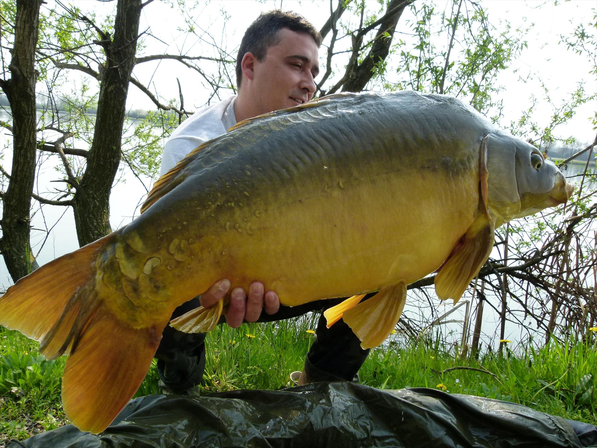 ISOLA DEL PESCATORE 16 - 17 apr. - p1030290.JPG